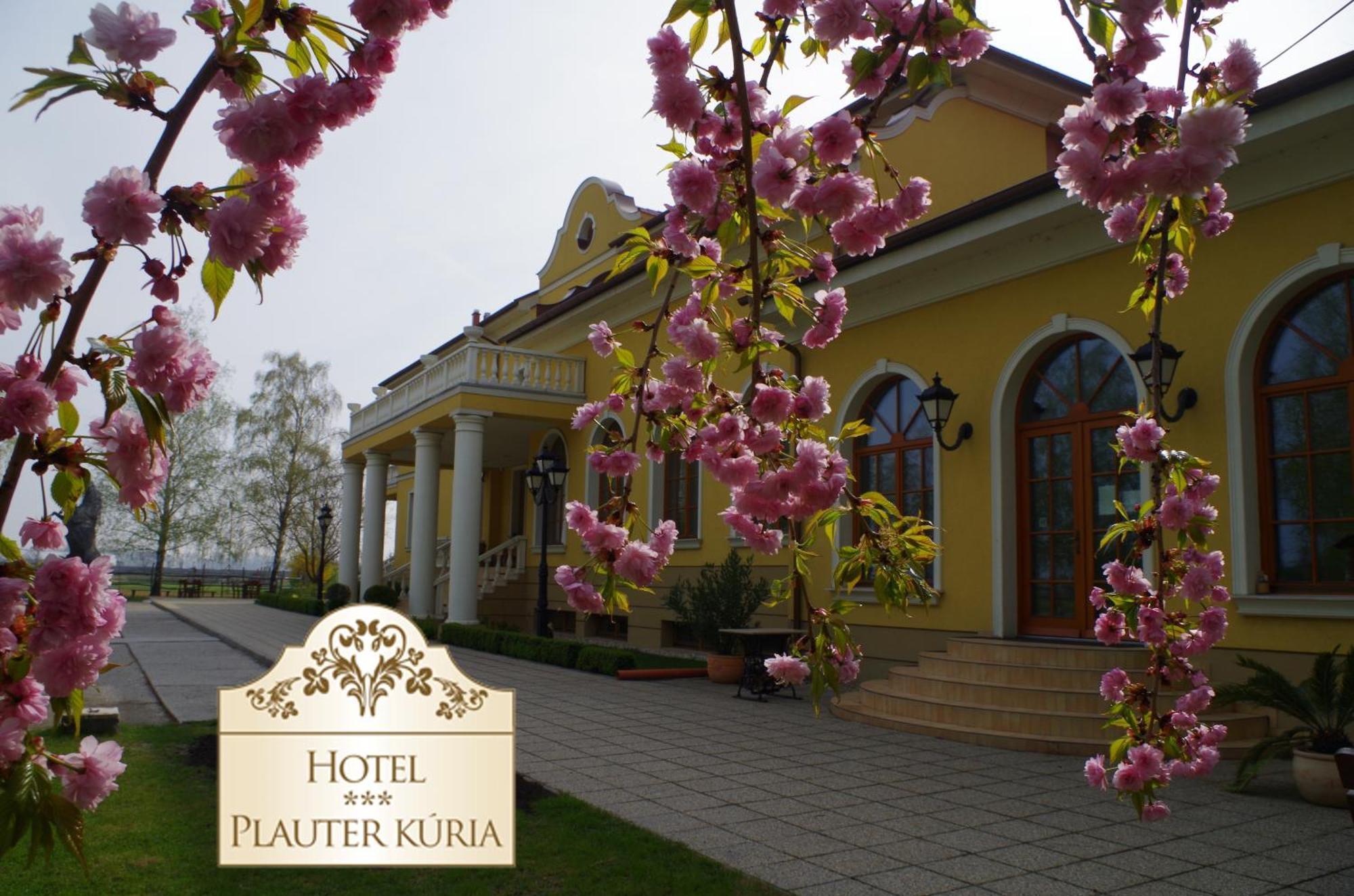 Hotel *** Plauter Kúria Veľký Meder Exterior foto