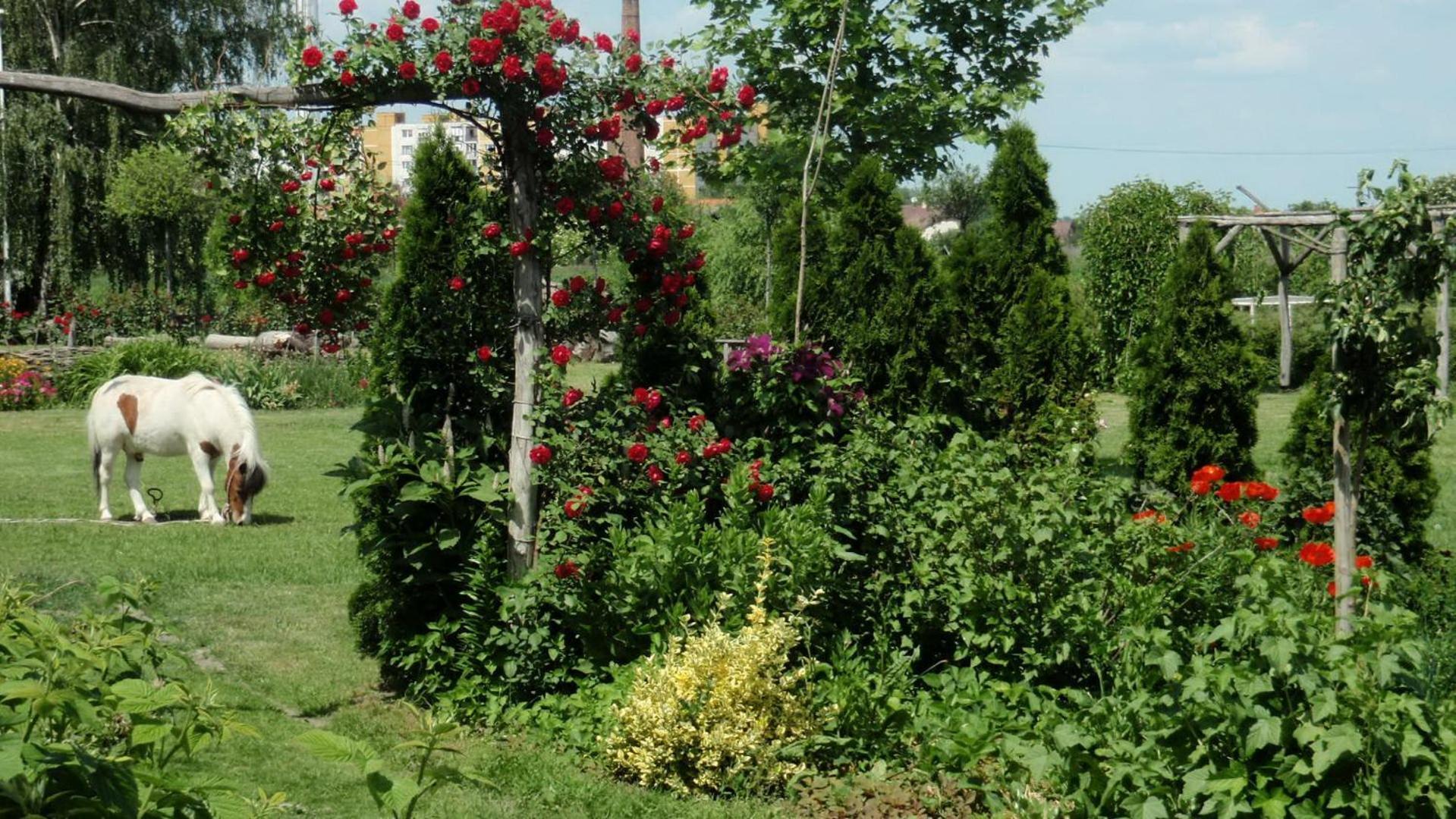 Hotel *** Plauter Kúria Veľký Meder Exterior foto