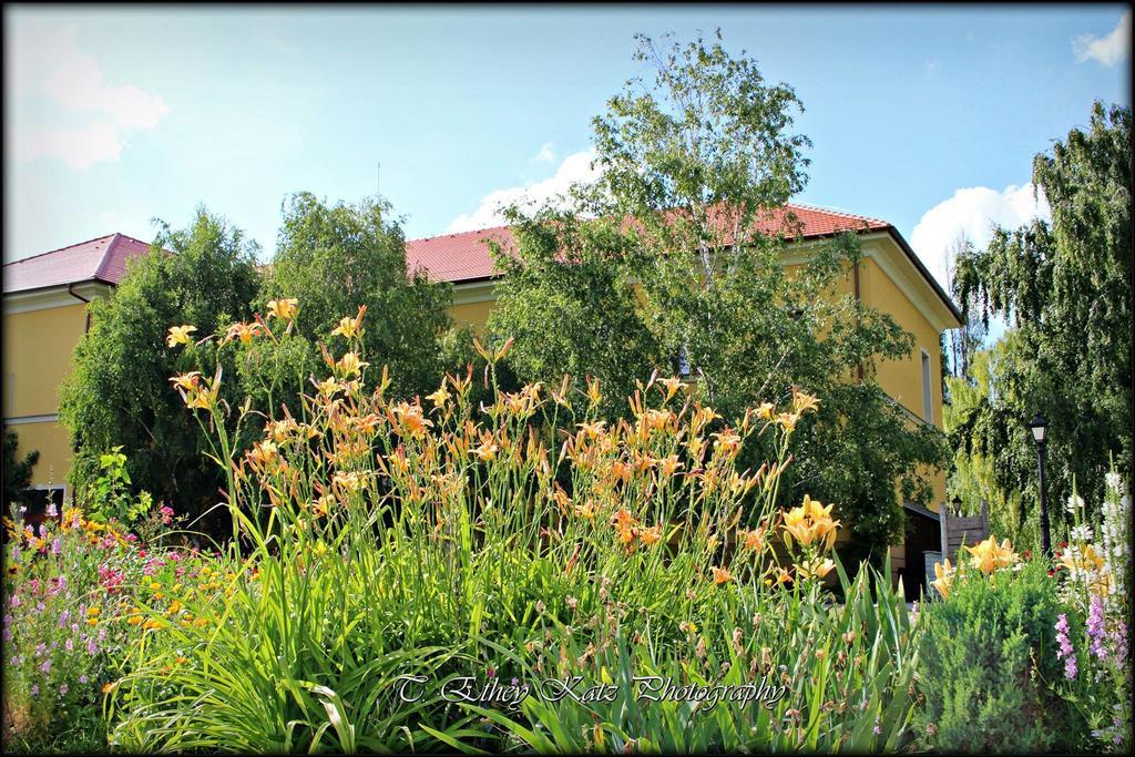 Hotel *** Plauter Kúria Veľký Meder Exterior foto